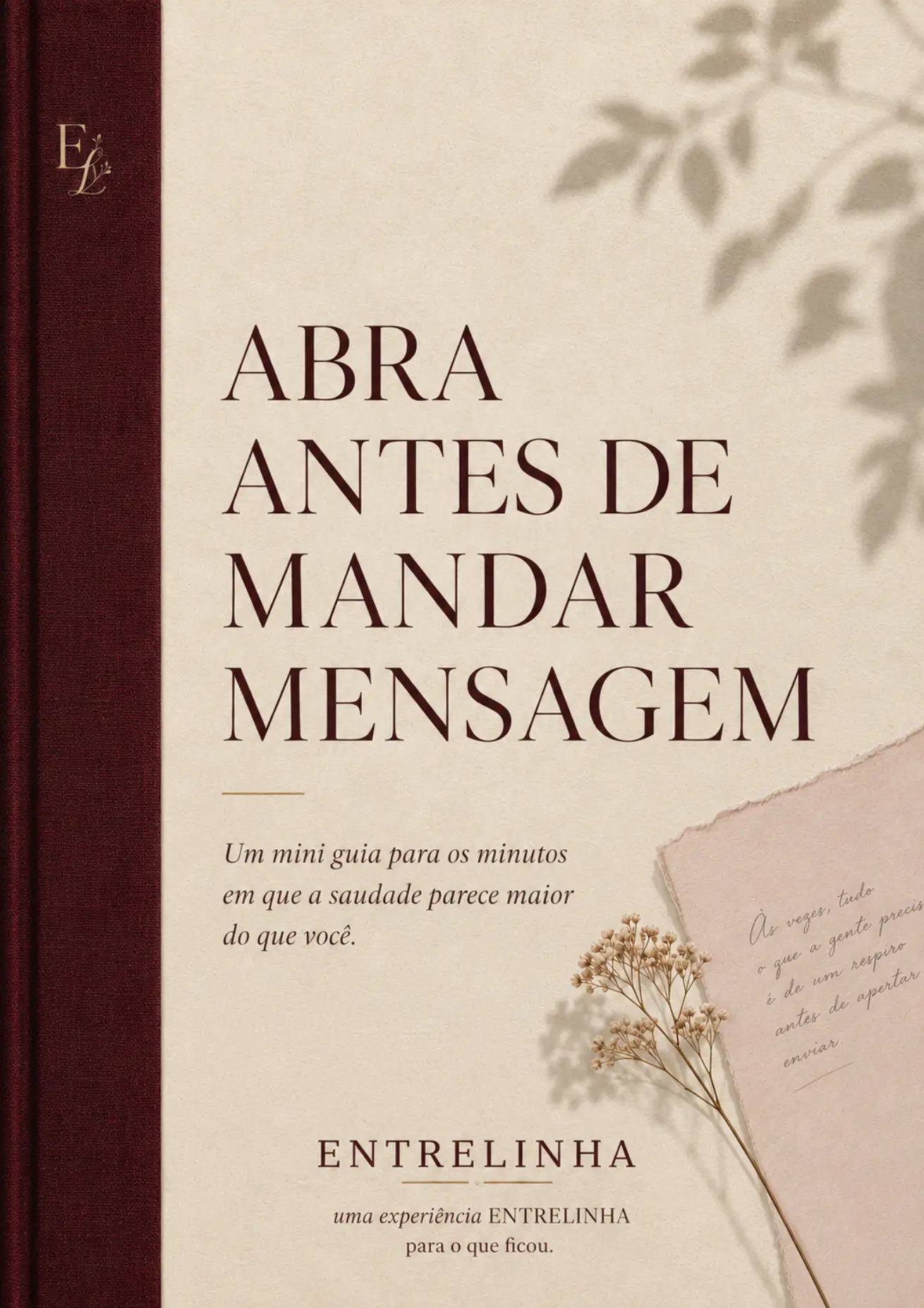 Capa oficial do ebook Abra Antes de Mandar Mensagem