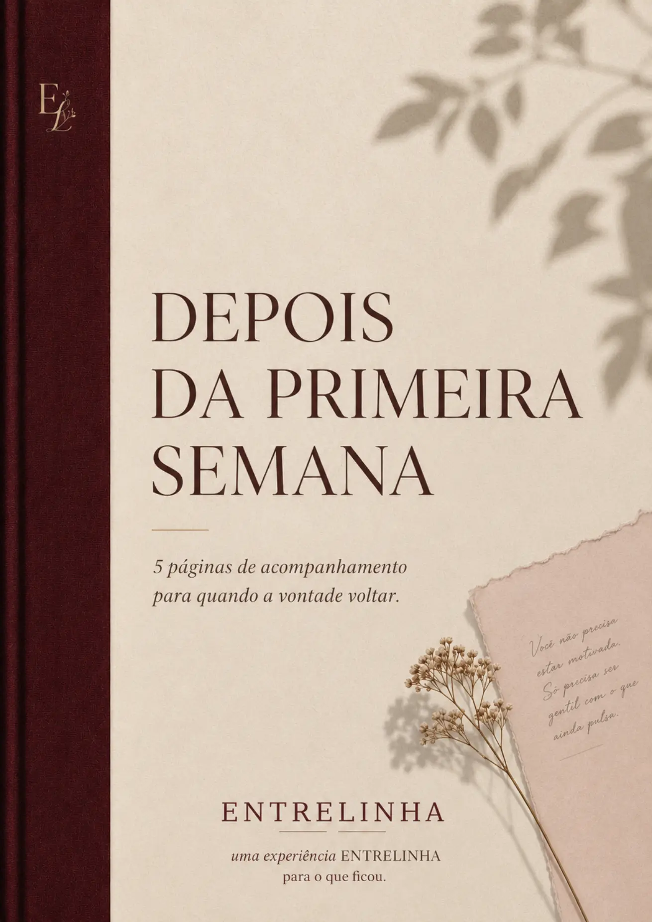 Capa do bônus Depois da Primeira Semana, da ENTRELINHA